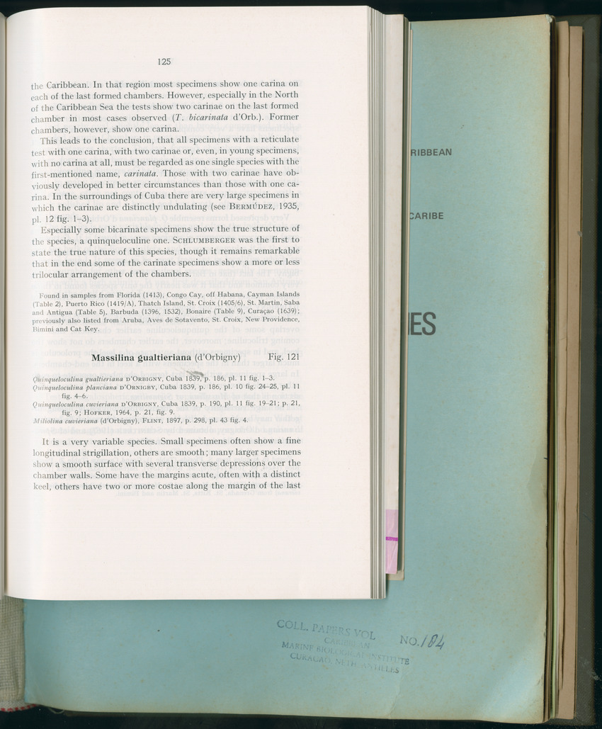 Carmabi Collected Papers Volume 11 - Nos. 170-193, 1975-1976 - Page 333