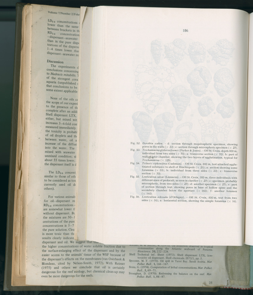 Carmabi Collected Papers Volume 11 - Nos. 170-193, 1975-1976 - Page 394