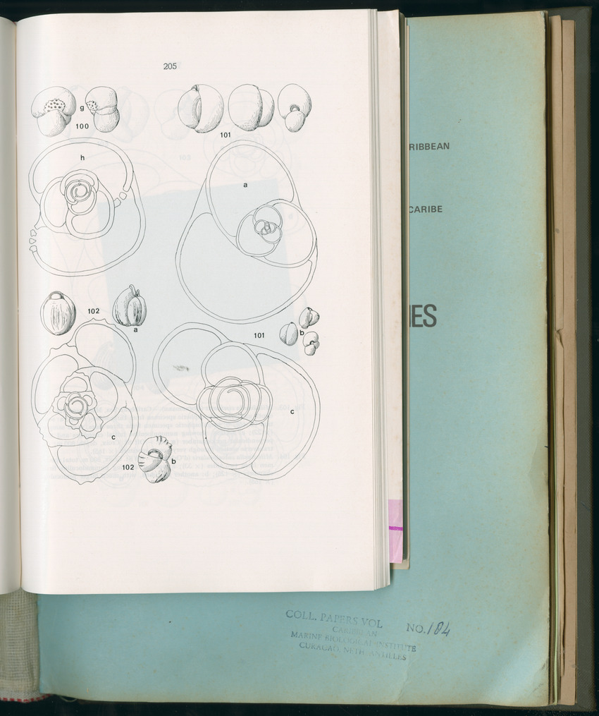 Carmabi Collected Papers Volume 11 - Nos. 170-193, 1975-1976 - Page 413