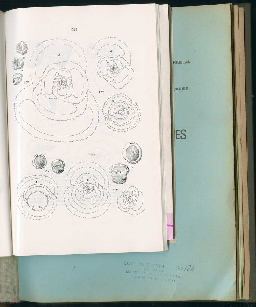 Carmabi Collected Papers Volume 11 - Nos. 170-193, 1975-1976 - Page 421