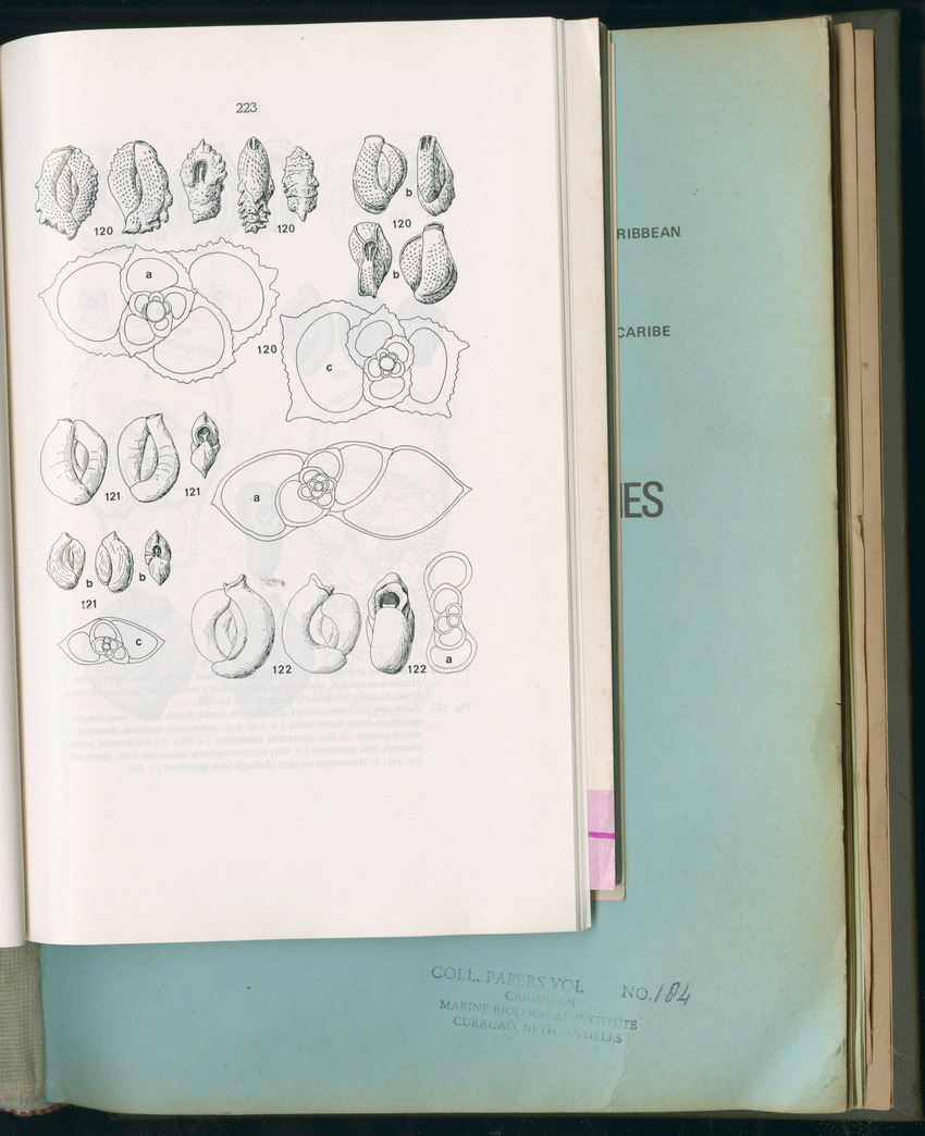 Carmabi Collected Papers Volume 11 - Nos. 170-193, 1975-1976 - Page 431