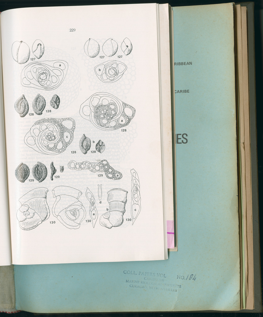 Carmabi Collected Papers Volume 11 - Nos. 170-193, 1975-1976 - Page 437