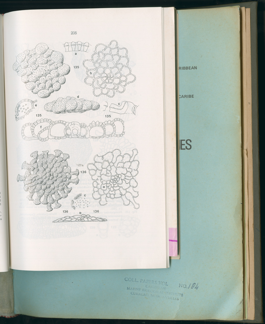 Carmabi Collected Papers Volume 11 - Nos. 170-193, 1975-1976 - Page 443
