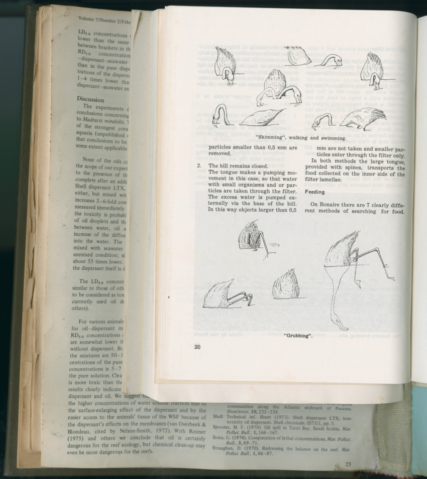 Carmabi Collected Papers Volume 11 - Nos. 170-193, 1975-1976 - Page 500