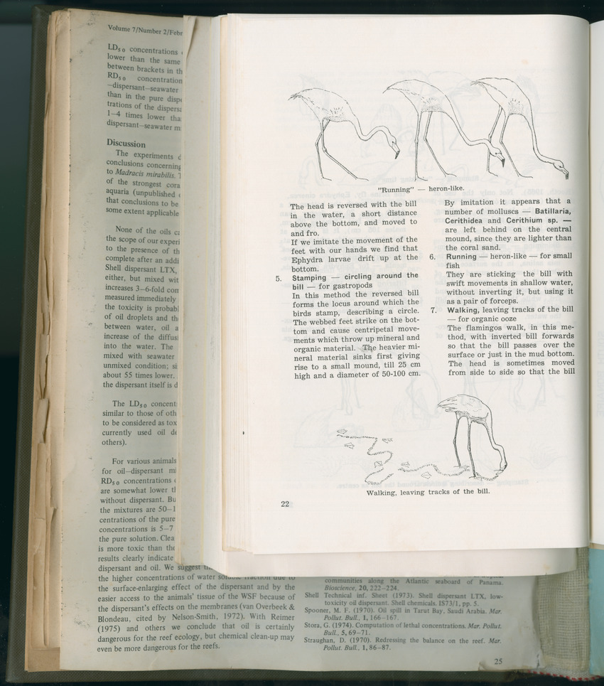 Carmabi Collected Papers Volume 11 - Nos. 170-193, 1975-1976 - Page 502
