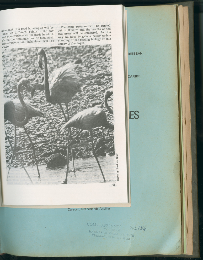 Carmabi Collected Papers Volume 11 - Nos. 170-193, 1975-1976 - Page 521
