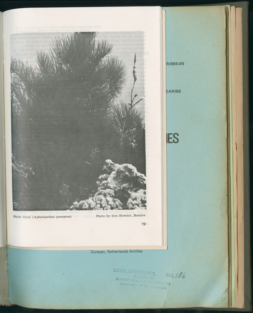 Carmabi Collected Papers Volume 11 - Nos. 170-193, 1975-1976 - Page 559