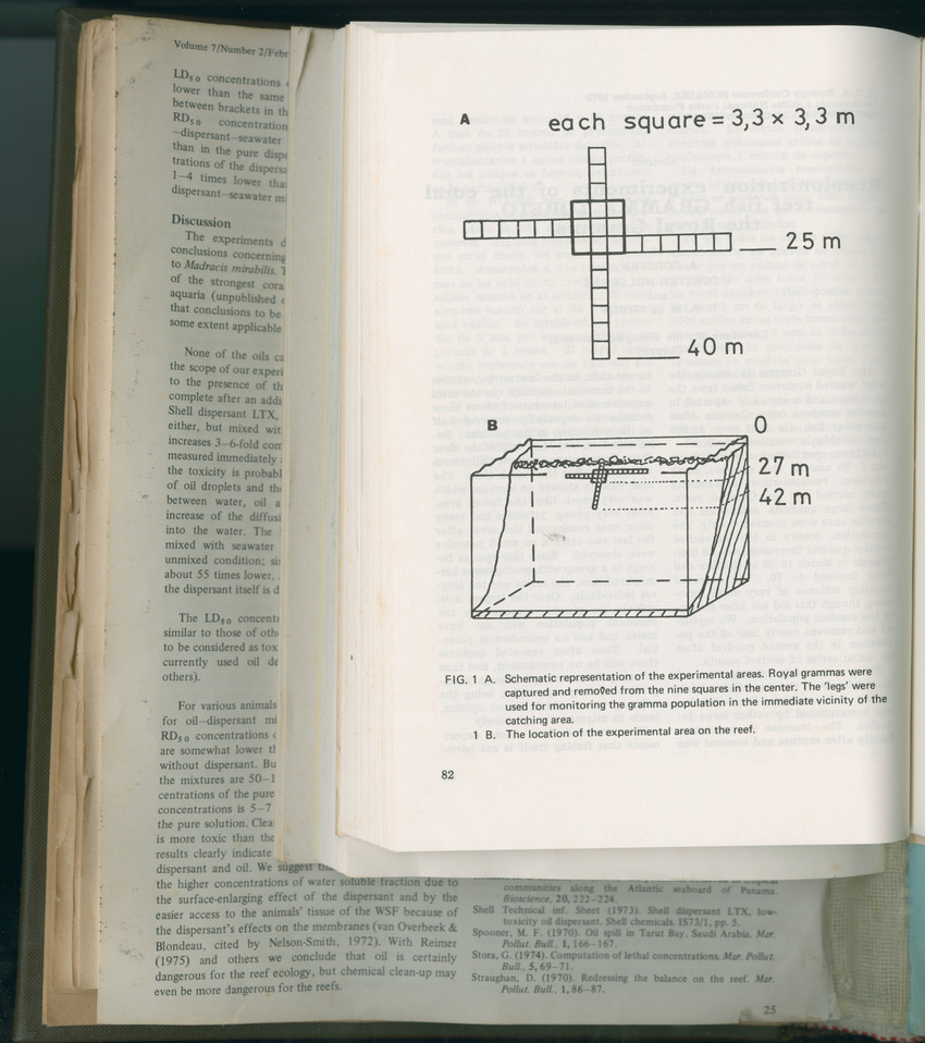 Carmabi Collected Papers Volume 11 - Nos. 170-193, 1975-1976 - Page 562