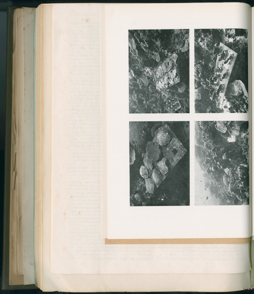 Carmabi Collected Papers Volume 11 - Nos. 170-193, 1975-1976 - Page 668