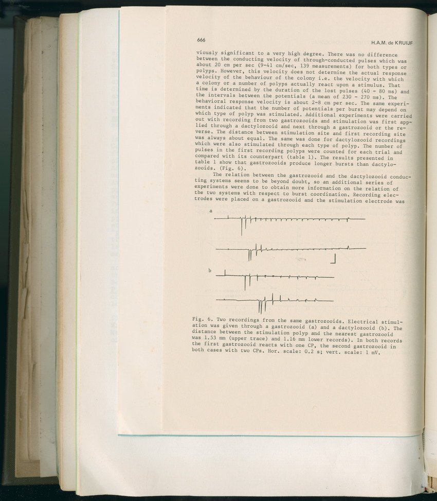 Carmabi Collected Papers Volume 11 - Nos. 170-193, 1975-1976 - Page 776