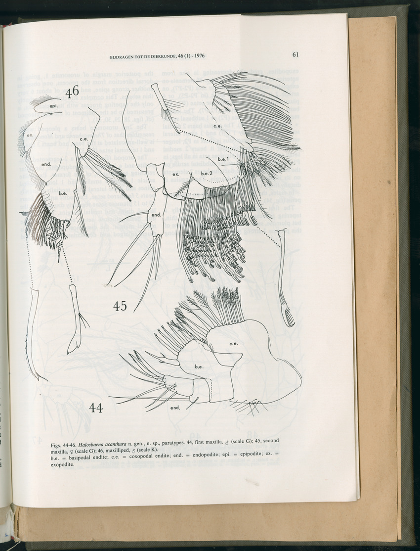 Carmabi Collected Papers Volume 11 - Nos. 170-193, 1975-1976 - Page 799