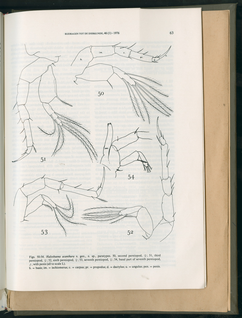 Carmabi Collected Papers Volume 11 - Nos. 170-193, 1975-1976 - Page 801