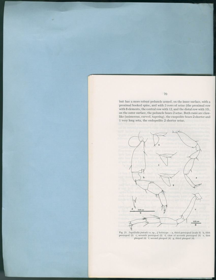 Carmabi Collected Papers Volume 12- Nos. 194-224, 1976-1977 - Page 24