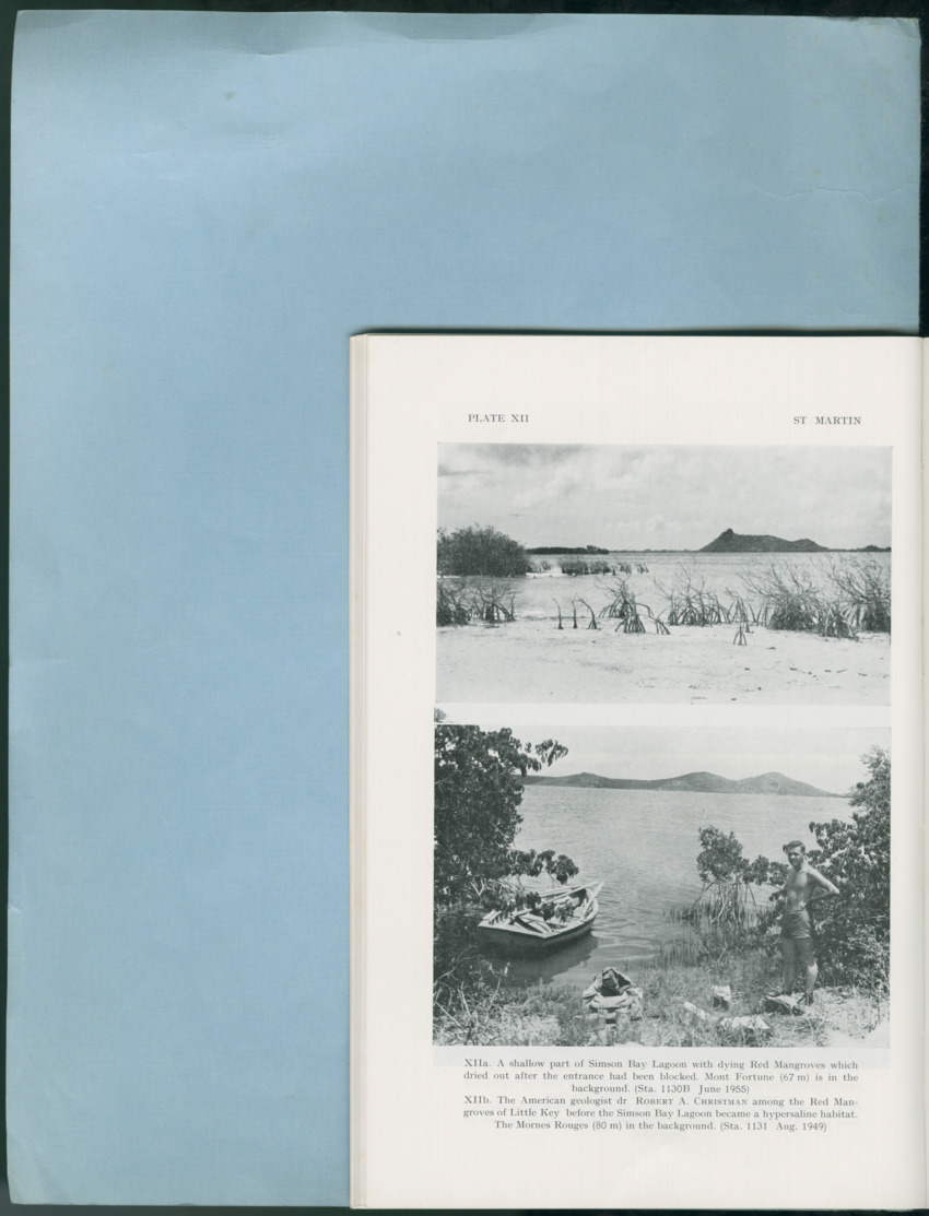 Carmabi Collected Papers Volume 12- Nos. 194-224, 1976-1977 - Page 116