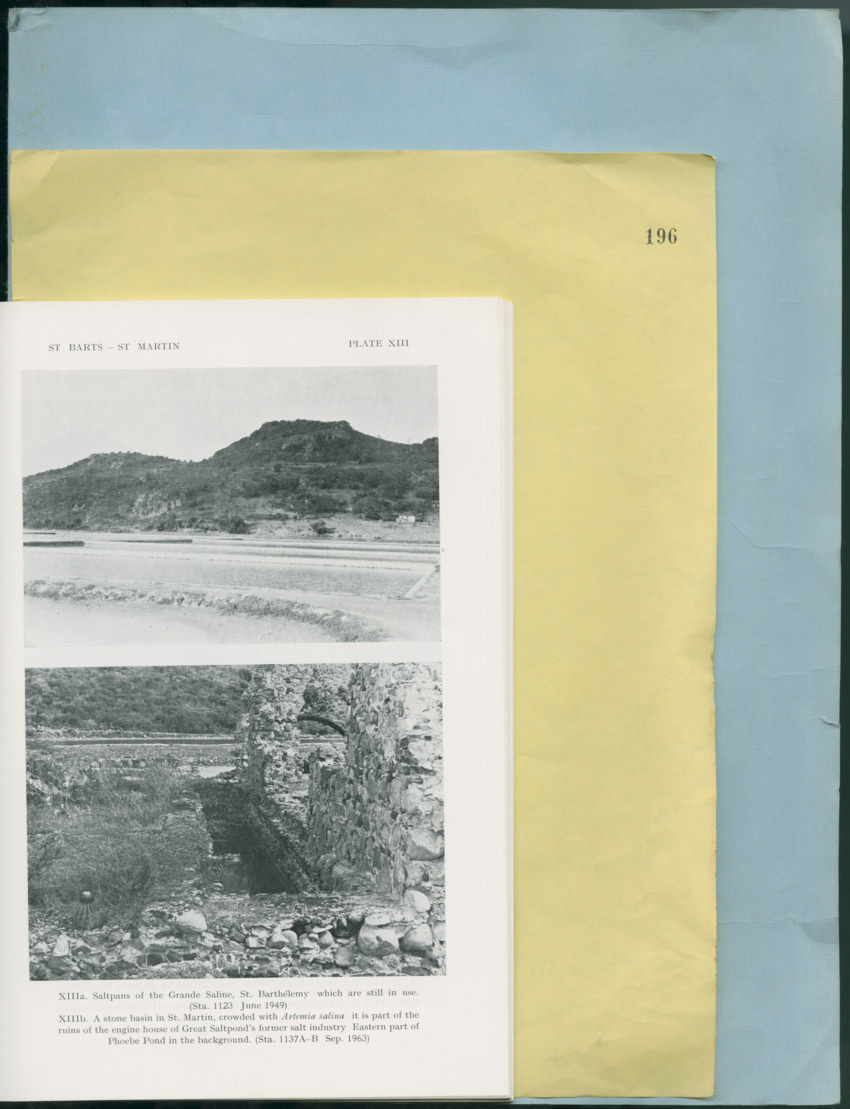 Carmabi Collected Papers Volume 12- Nos. 194-224, 1976-1977 - Page 117