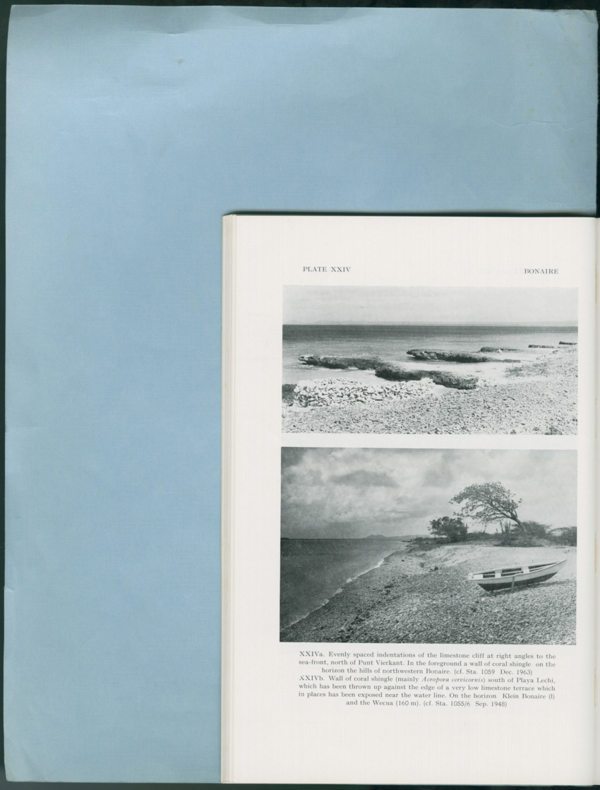 Carmabi Collected Papers Volume 12- Nos. 194-224, 1976-1977 - Page 128