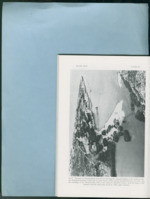 MISSING THUMBNAIL