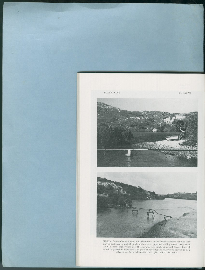 Carmabi Collected Papers Volume 12- Nos. 194-224, 1976-1977 - Page 150