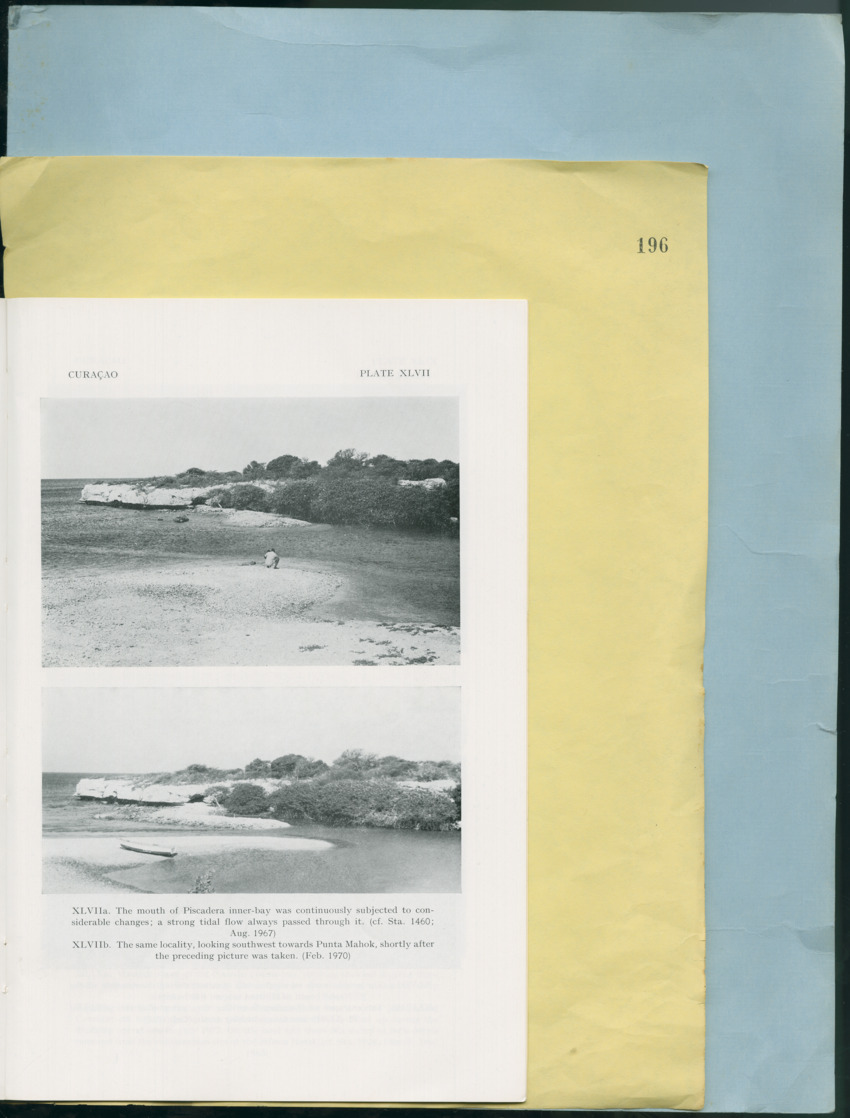 Carmabi Collected Papers Volume 12- Nos. 194-224, 1976-1977 - Page 151