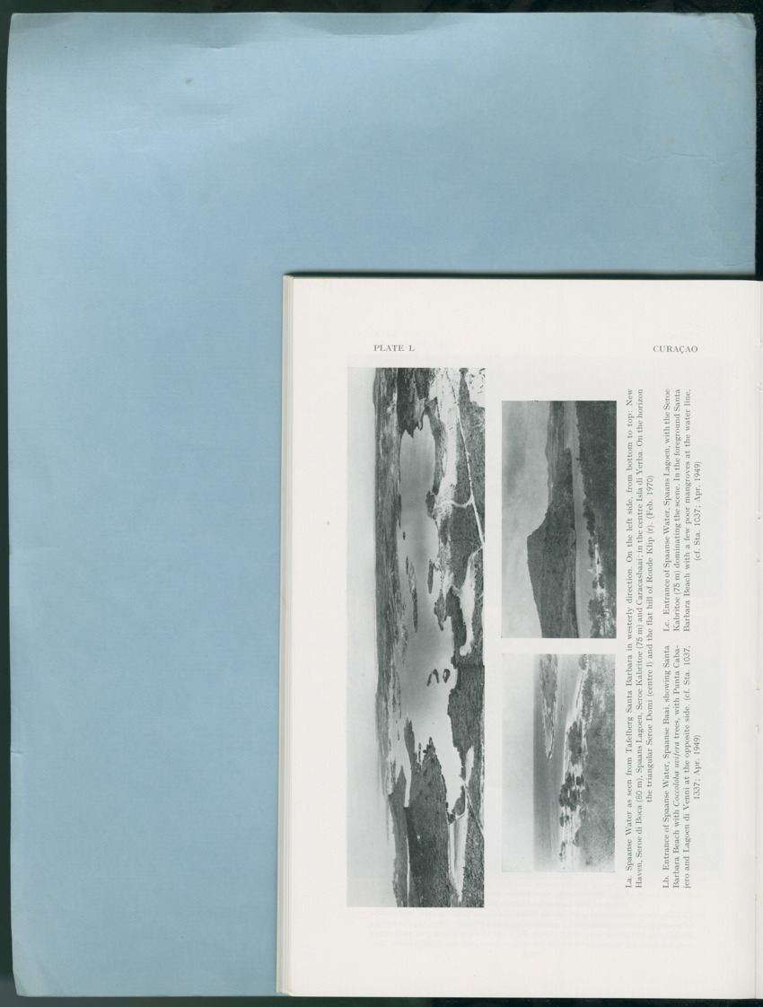 Carmabi Collected Papers Volume 12- Nos. 194-224, 1976-1977 - Page 156