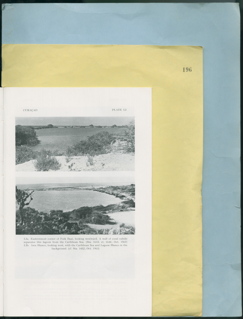 Carmabi Collected Papers Volume 12- Nos. 194-224, 1976-1977 - Page 157