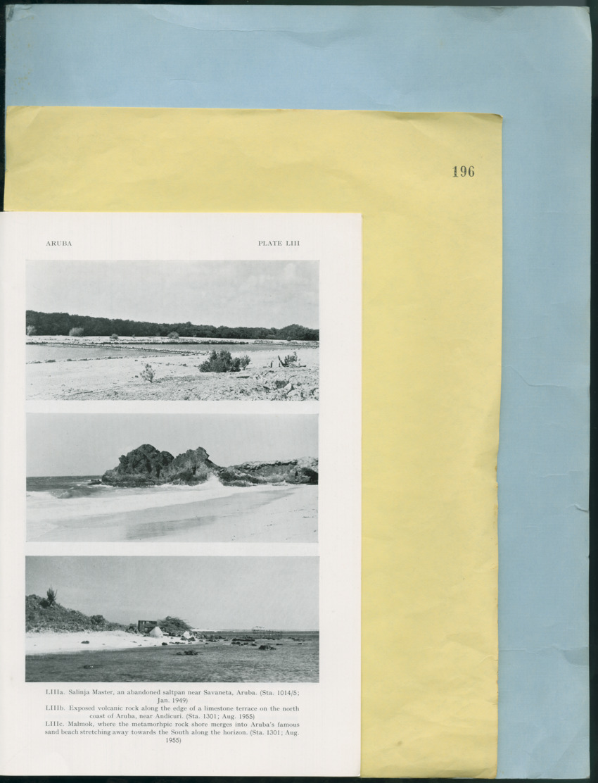 Carmabi Collected Papers Volume 12- Nos. 194-224, 1976-1977 - Page 159