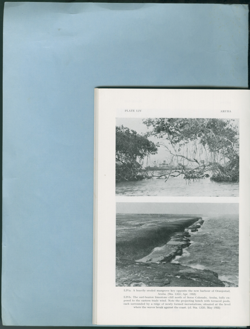 Carmabi Collected Papers Volume 12- Nos. 194-224, 1976-1977 - Page 160