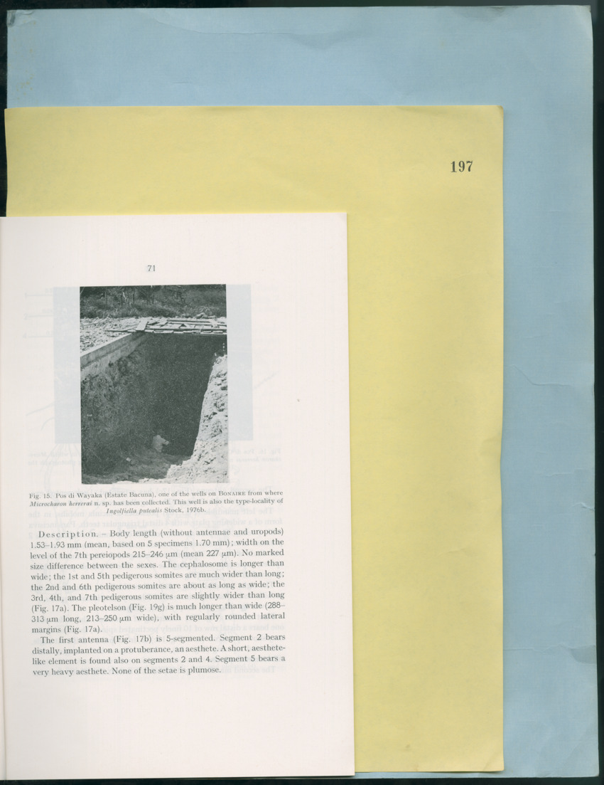 Carmabi Collected Papers Volume 12- Nos. 194-224, 1976-1977 - Page 171