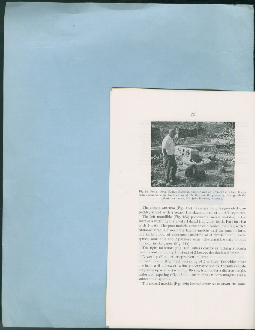 Carmabi Collected Papers Volume 12- Nos. 194-224, 1976-1977 - Page 172