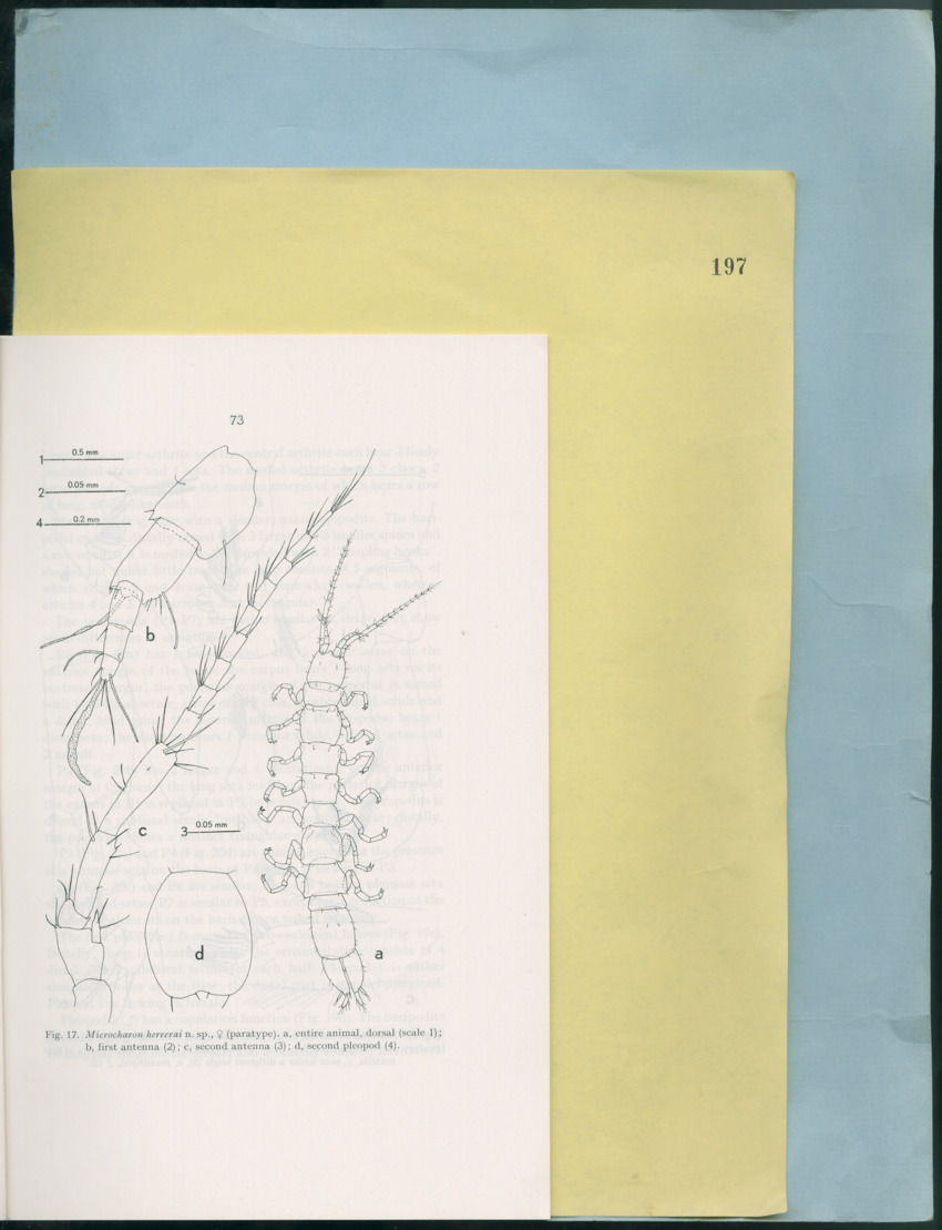 Carmabi Collected Papers Volume 12- Nos. 194-224, 1976-1977 - Page 173