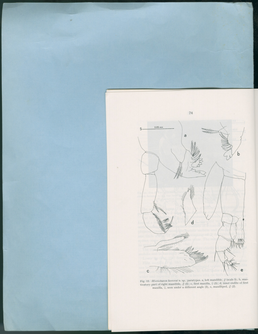 Carmabi Collected Papers Volume 12- Nos. 194-224, 1976-1977 - Page 174