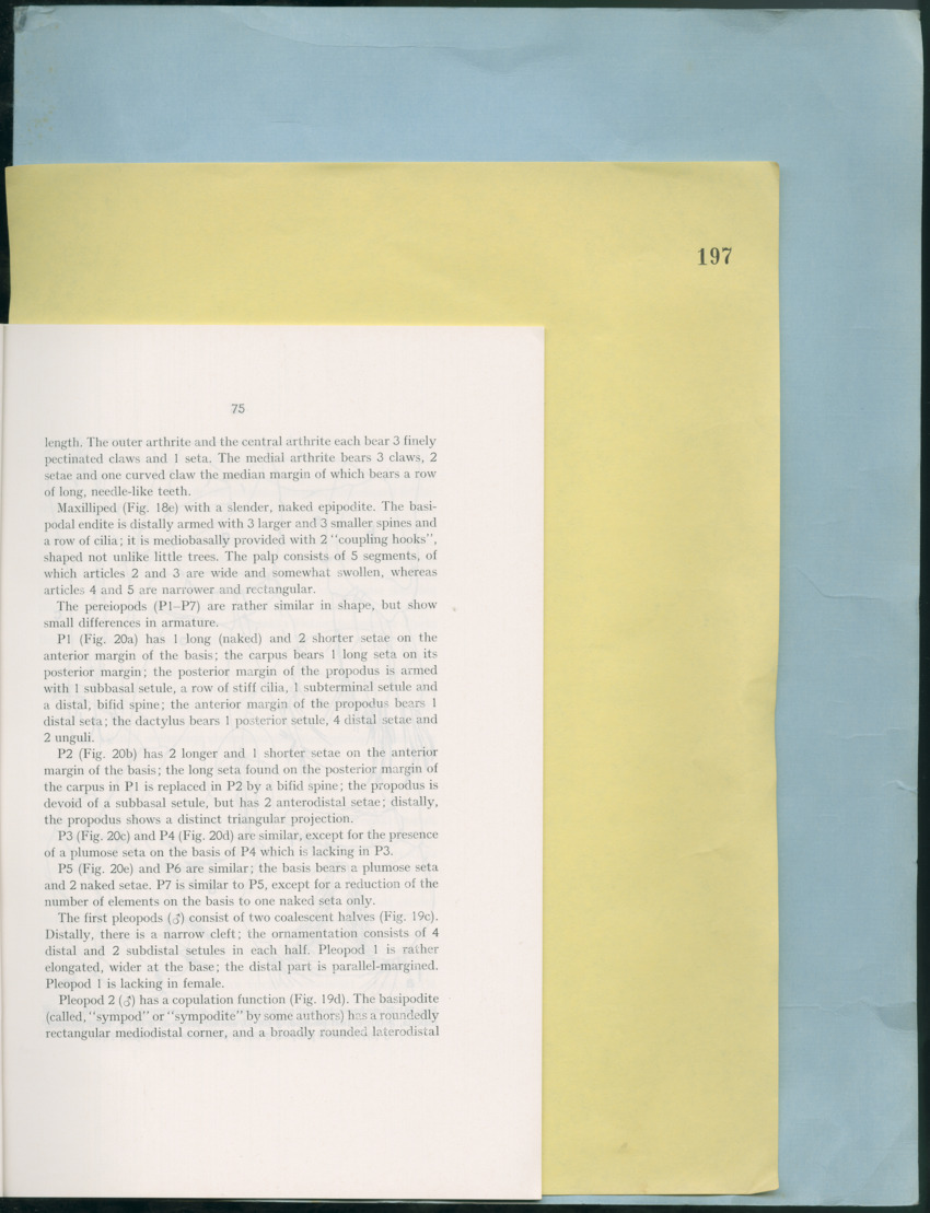 Carmabi Collected Papers Volume 12- Nos. 194-224, 1976-1977 - Page 175