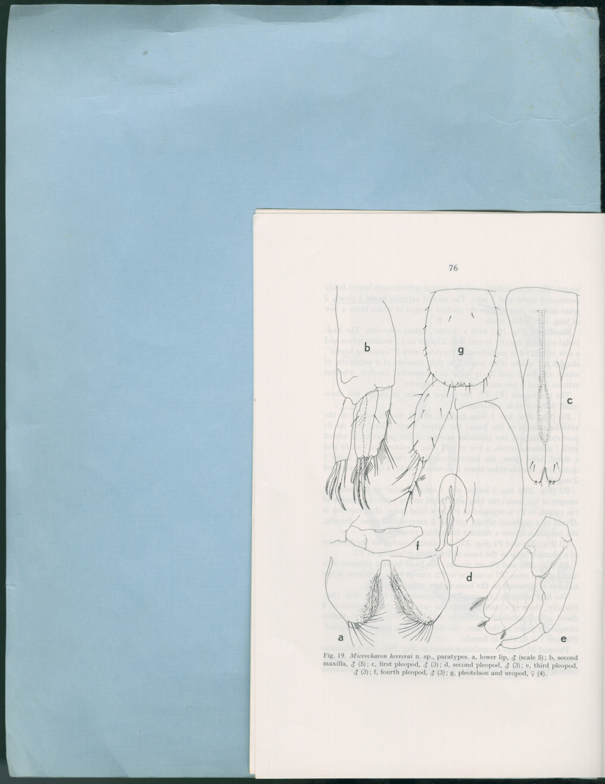 Carmabi Collected Papers Volume 12- Nos. 194-224, 1976-1977 - Page 176