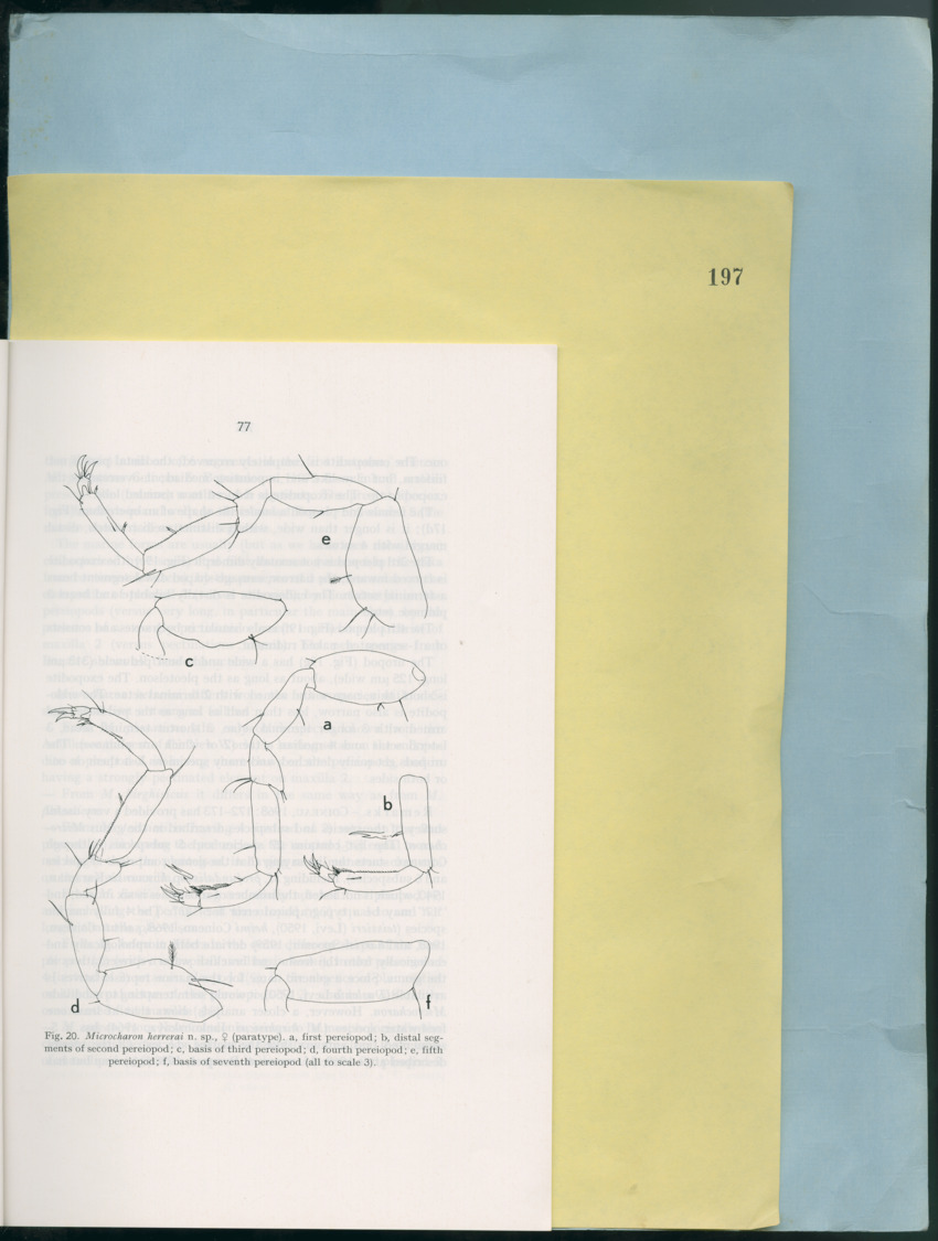 Carmabi Collected Papers Volume 12- Nos. 194-224, 1976-1977 - Page 177