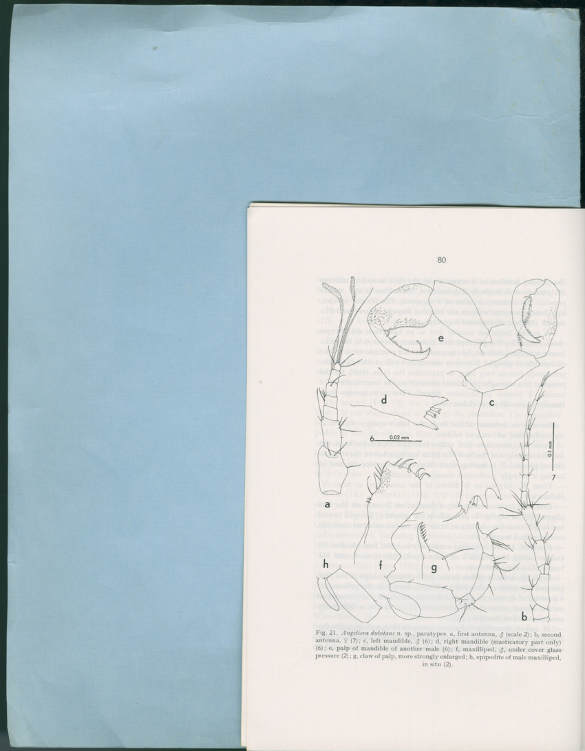 Carmabi Collected Papers Volume 12- Nos. 194-224, 1976-1977 - Page 180