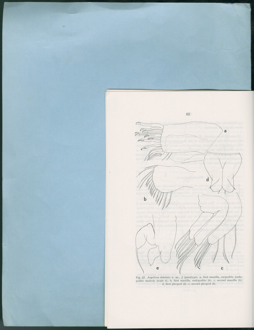 Carmabi Collected Papers Volume 12- Nos. 194-224, 1976-1977 - Page 182