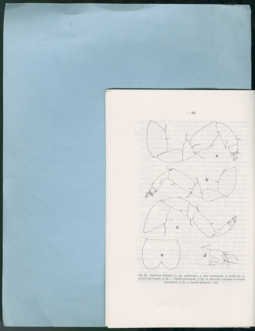 Carmabi Collected Papers Volume 12- Nos. 194-224, 1976-1977 - Page 184