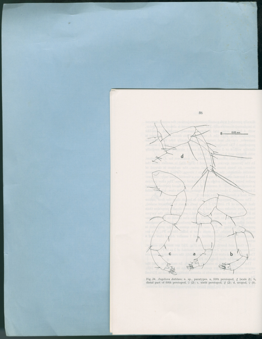 Carmabi Collected Papers Volume 12- Nos. 194-224, 1976-1977 - Page 186