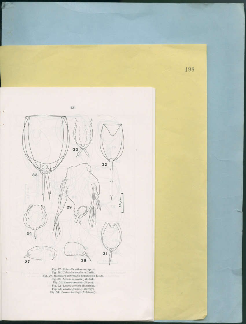Carmabi Collected Papers Volume 12- Nos. 194-224, 1976-1977 - Page 257