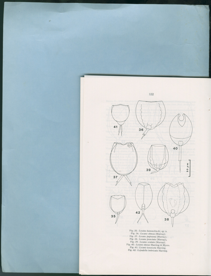 Carmabi Collected Papers Volume 12- Nos. 194-224, 1976-1977 - Page 258