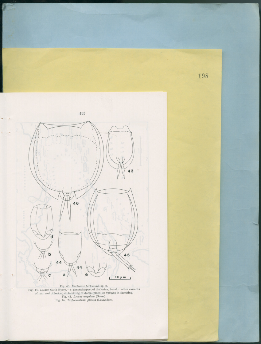 Carmabi Collected Papers Volume 12- Nos. 194-224, 1976-1977 - Page 259