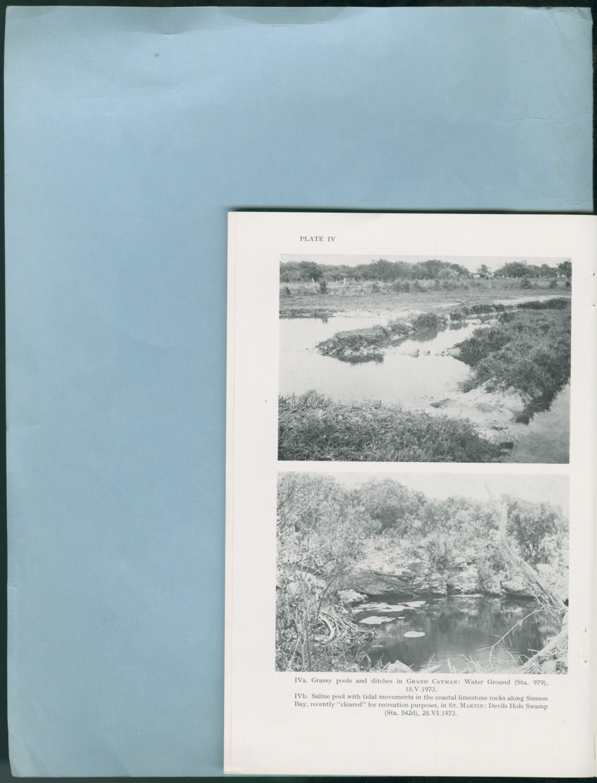Carmabi Collected Papers Volume 12- Nos. 194-224, 1976-1977 - Page 264