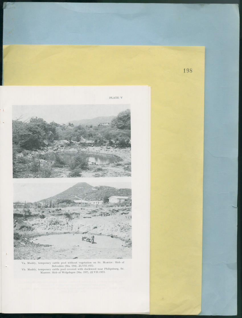Carmabi Collected Papers Volume 12- Nos. 194-224, 1976-1977 - Page 265