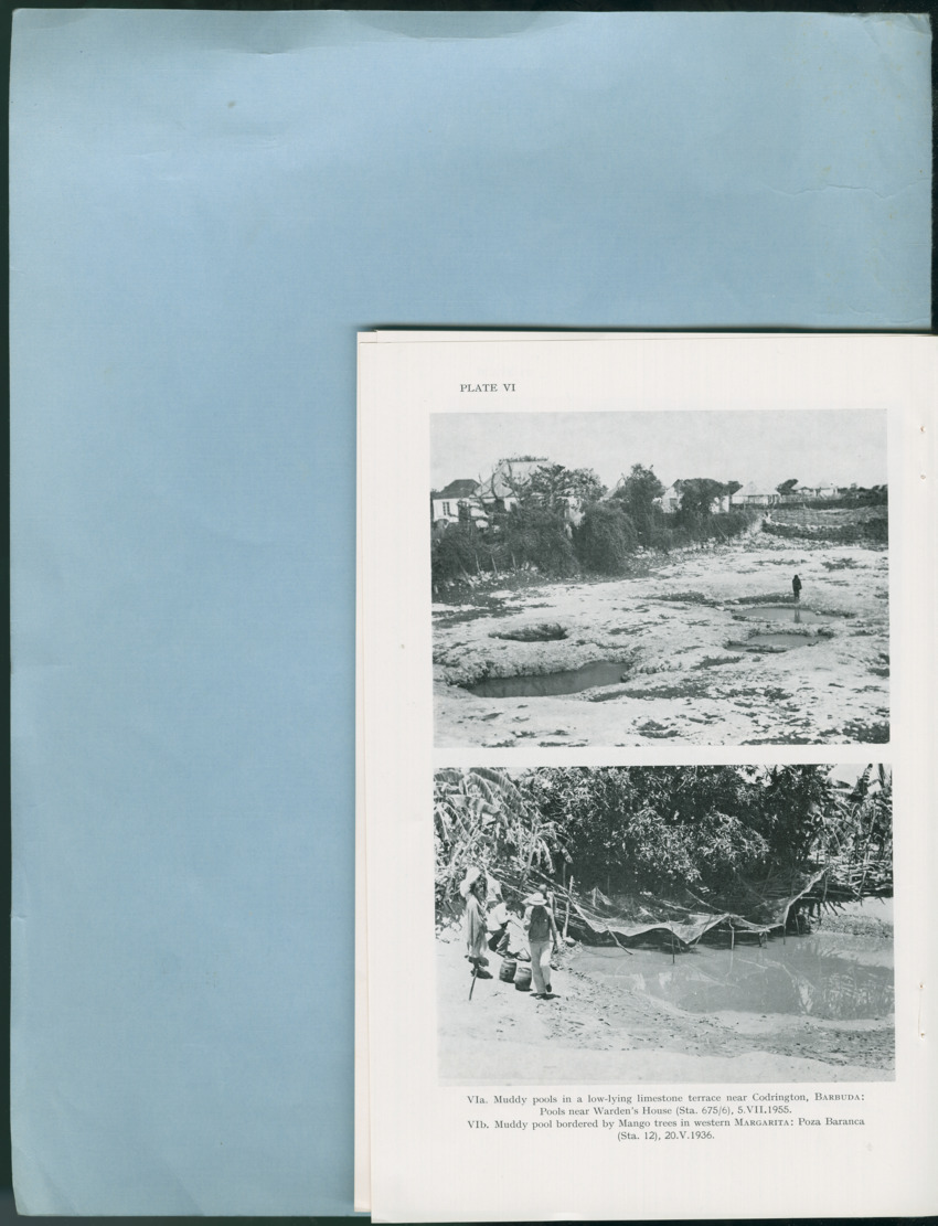 Carmabi Collected Papers Volume 12- Nos. 194-224, 1976-1977 - Page 266