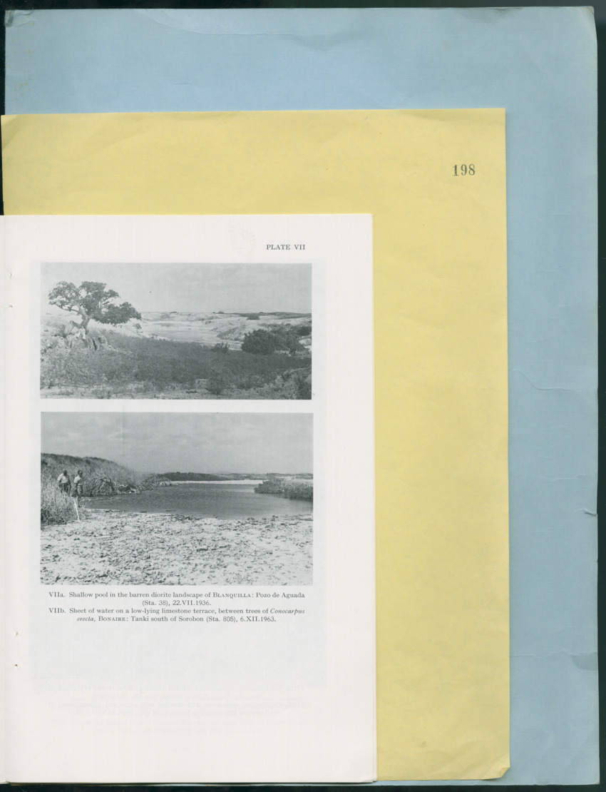 Carmabi Collected Papers Volume 12- Nos. 194-224, 1976-1977 - Page 267