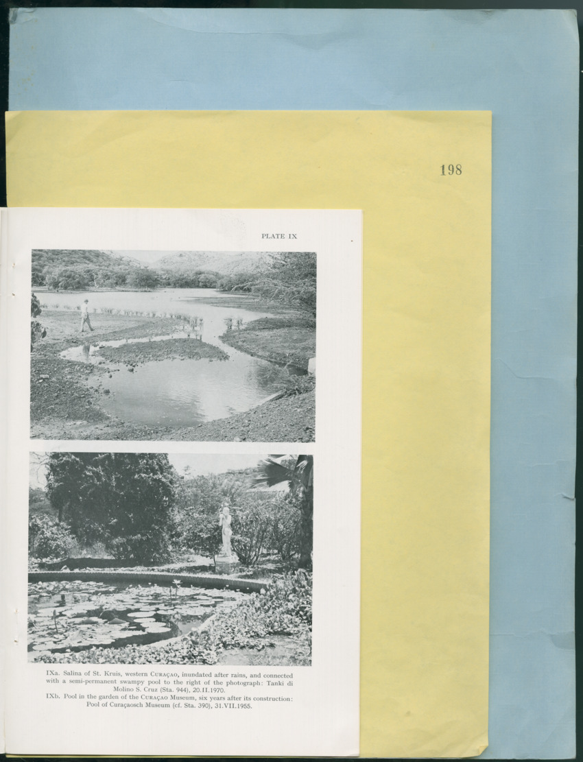Carmabi Collected Papers Volume 12- Nos. 194-224, 1976-1977 - Page 269