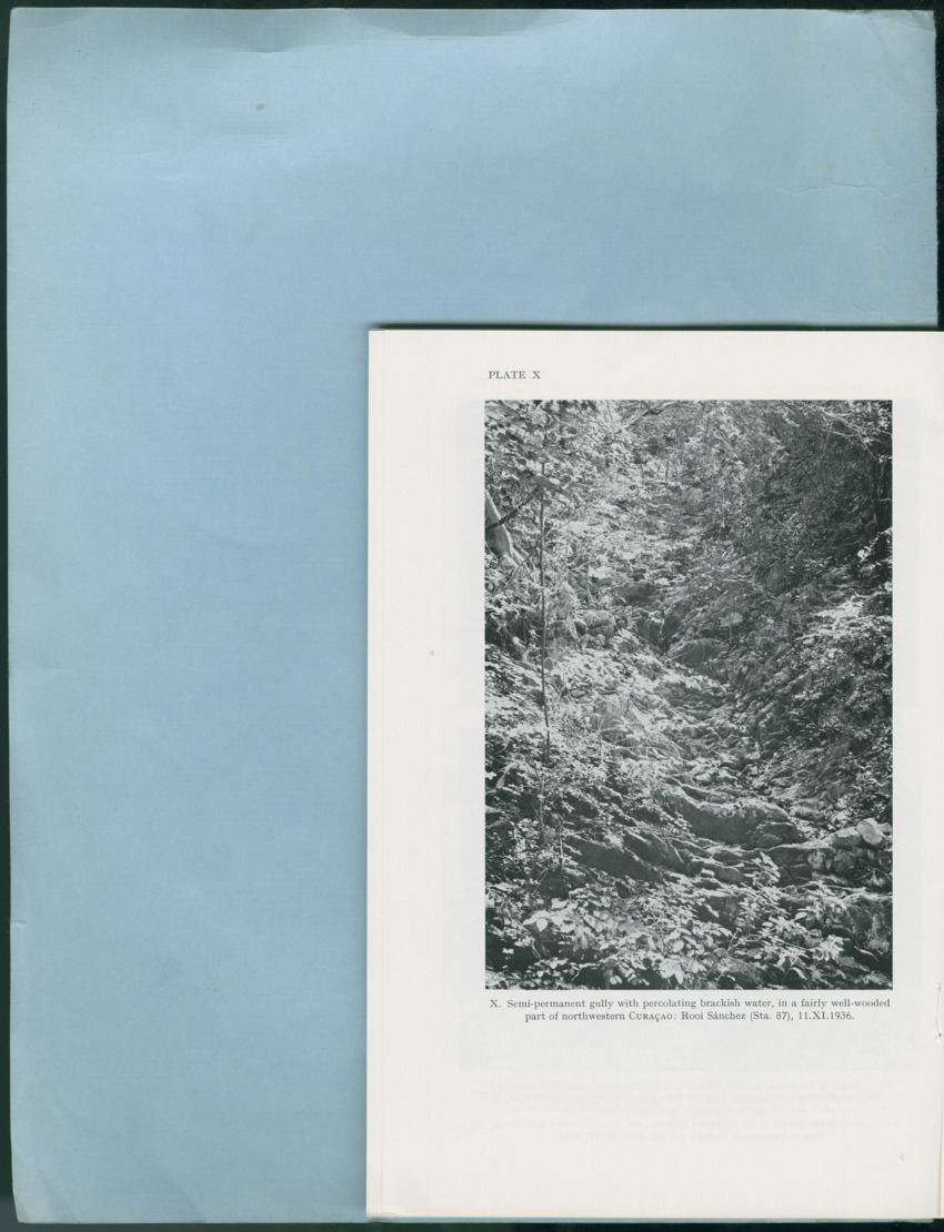 Carmabi Collected Papers Volume 12- Nos. 194-224, 1976-1977 - Page 270
