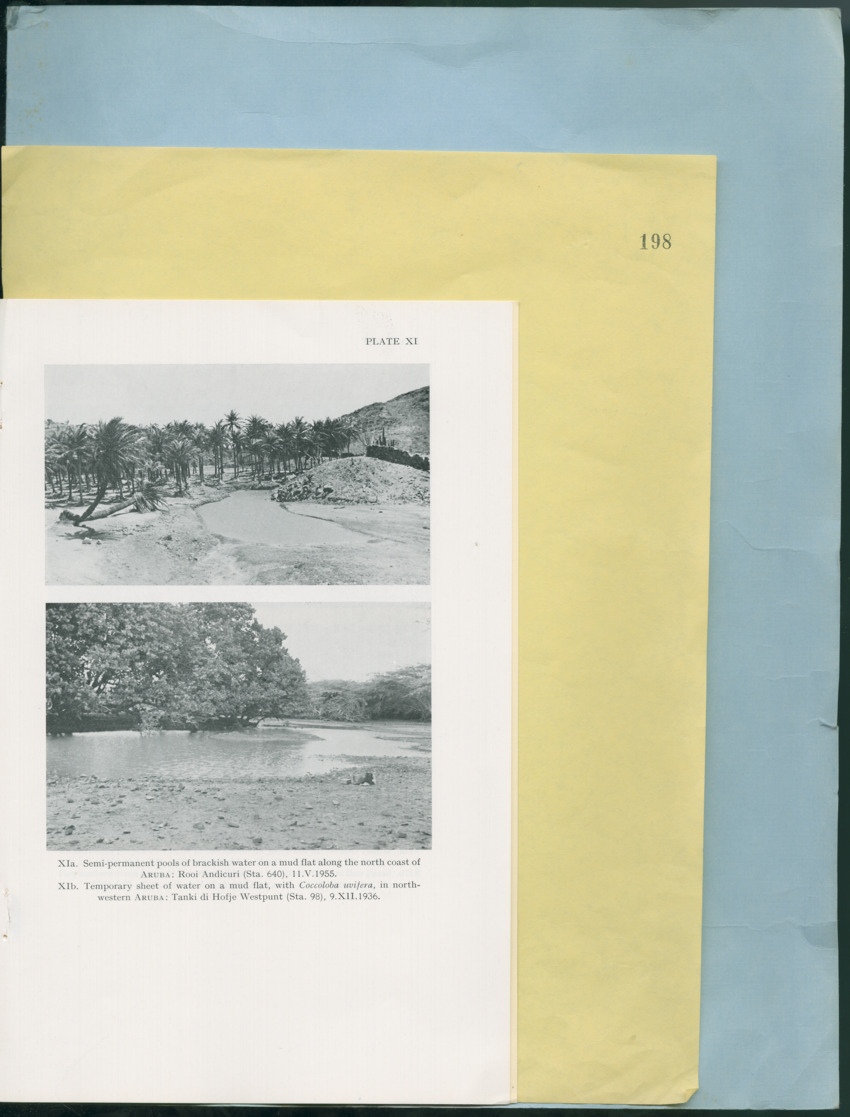 Carmabi Collected Papers Volume 12- Nos. 194-224, 1976-1977 - Page 271