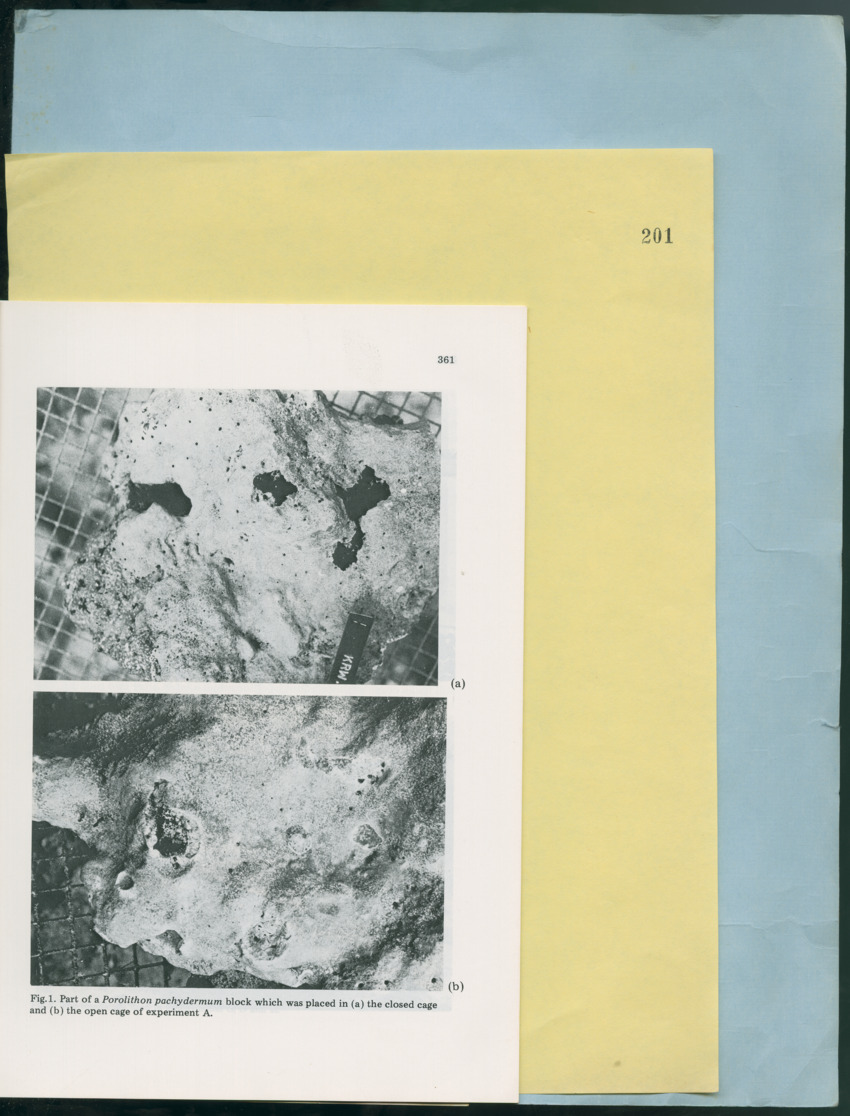 Carmabi Collected Papers Volume 12- Nos. 194-224, 1976-1977 - Page 299