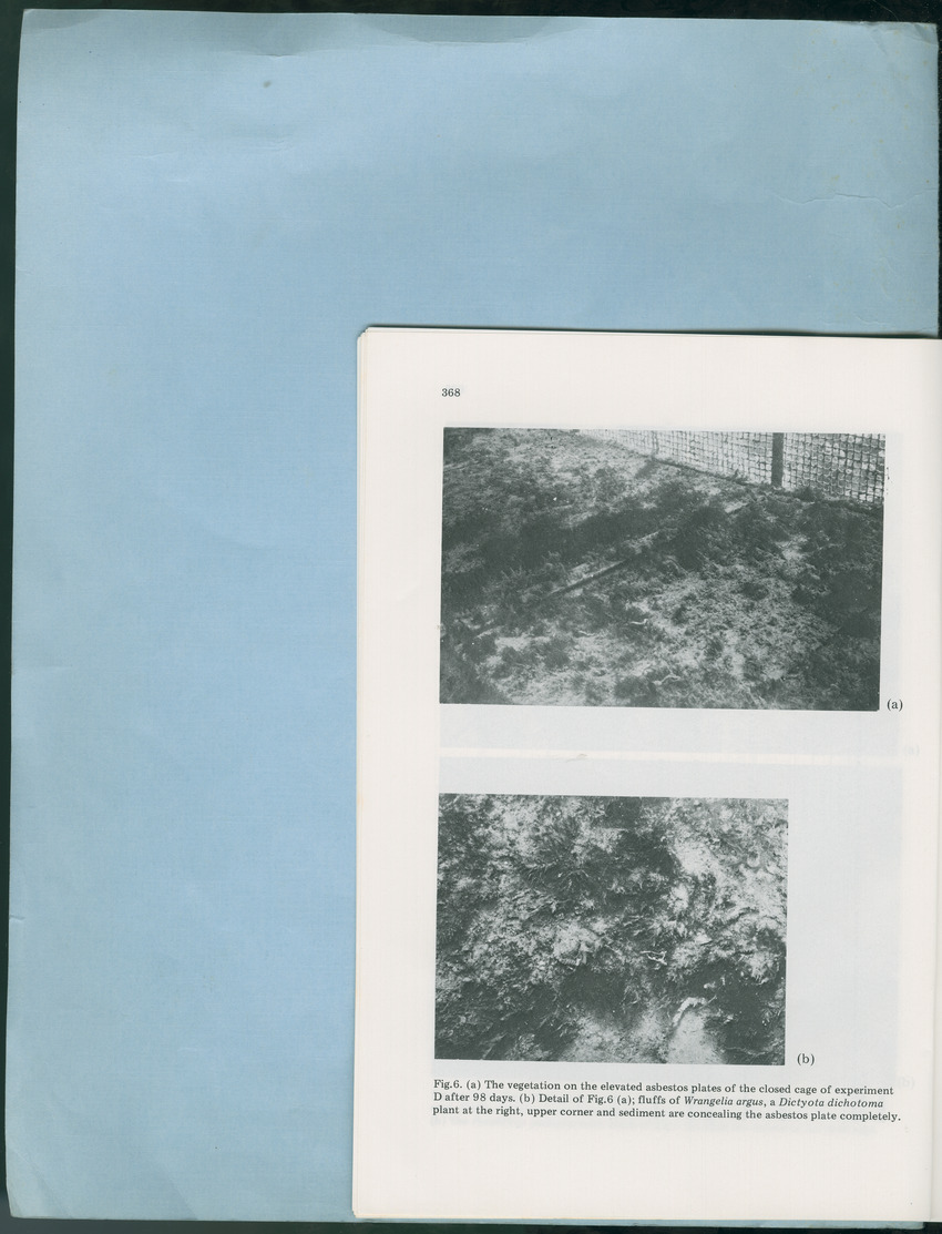 Carmabi Collected Papers Volume 12- Nos. 194-224, 1976-1977 - Page 306